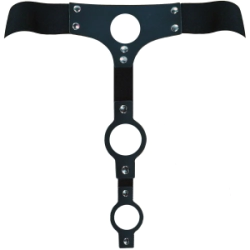 Arnes Triple Interior Exterior