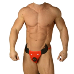 Colaless Sexy Pasionel Toro