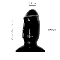 Plug Anal Personal Trainer