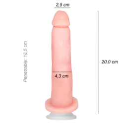 Dildo Consolador Geminis Ventosa