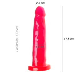Dildo Consolador Vara Ventosa