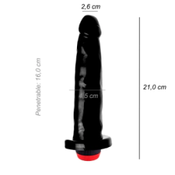 Dildo Consolador Vara Vibrador