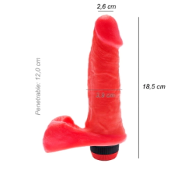 Dildo Consolador Realista Plumber Vibrador