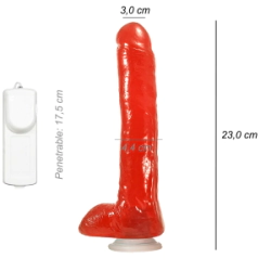 Dildo Consolador Realista Kevin Dean Chico Ventosa Vibrador