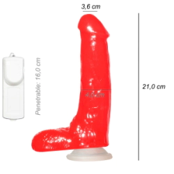 Dildo Consolador Realista Peter Nort Ventosa Vibrador