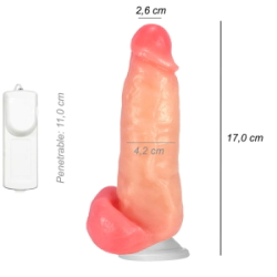 Dildo Consolador Realista Mini Kong Ventosa Vibrador