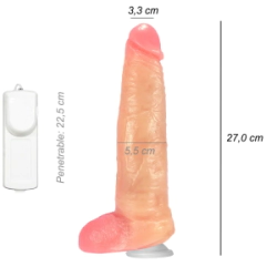 Dildo Consolador Realista Brad Stone Xl Ventosa Vibrador